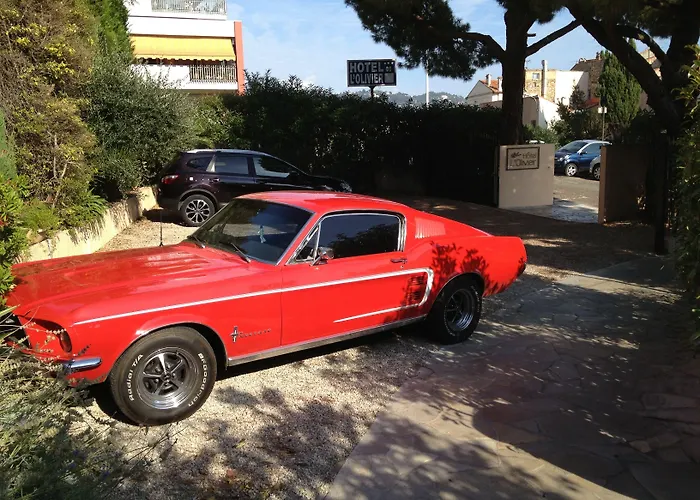 L'olivier - Piscine & Parking Cannes