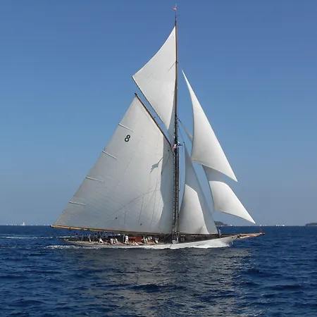 L'olivier - Piscine & Parking 3* Cannes