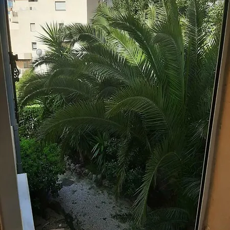 L'olivier - Piscine & Parking